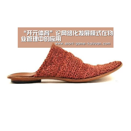 “开元体育”论网络化发展模式在物业管理中的应用(图3) 开元体育